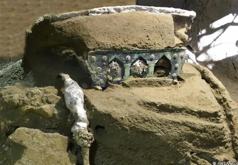 کشف یک ارابه باستانی در شهر سوخته + تصاویر