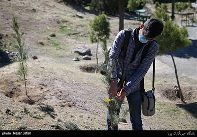 کاشت نهال توسط عکاسان خبری در حاشیه بازدید از پروژه‌های منطقه 5