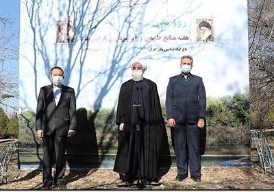  روحانی: حفظ و گسترش درختان و مراتع کشور به معنای امنیت غذایی و ملی است 