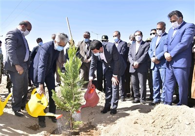 طبيعي،منابع،دامغان،سبز،شهرستان،فضاي،توجه،درختكاري،آبخيزداري، ...