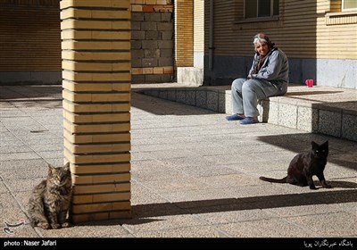 سرای احسان