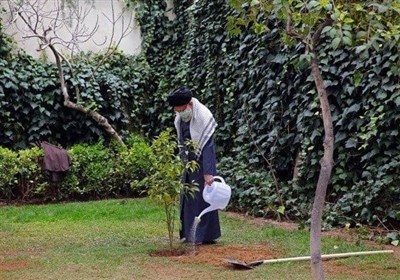  امام خامنه‌ای دو اصله نهال در حیاط بیت رهبری کاشتند 