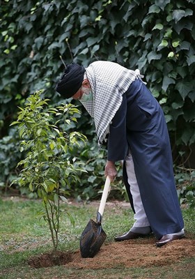 کاشت دو نهال میوه توسط مقام معظم رهبری