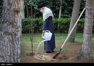 الامام الخامنئی یغرس شتلتین بمناسبة یوم الشجرة