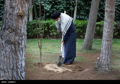 الامام الخامنئی یغرس شتلتین بمناسبة یوم الشجرة