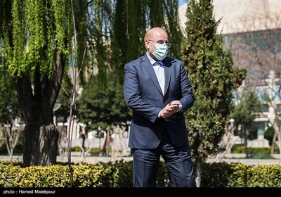 محمدباقر قالیباف رئیس مجلس شورای اسلامی پس از کاشت یک اصله نهال میوه در حیاط مجلس