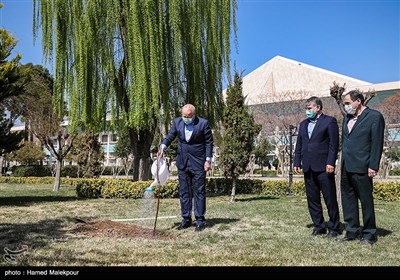 کاشت یک اصله نهال میوه توسط محمدباقر قالیباف رئیس مجلس شورای اسلامی