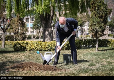 کاشت یک اصله نهال میوه توسط محمدباقر قالیباف رئیس مجلس شورای اسلامی