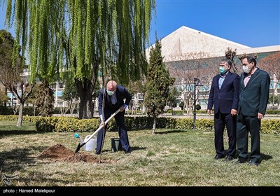 کاشت یک اصله نهال میوه توسط محمدباقر قالیباف رئیس مجلس شورای اسلامی