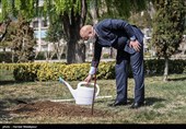 کاشت یک اصله نهال میوه توسط محمدباقر قالیباف رئیس مجلس شورای اسلامی