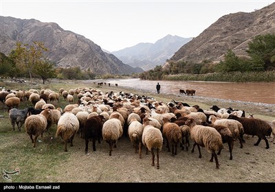 سرزمین مادری / جلفا ، سرزمین تاریخ و طبیعت