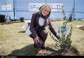 مراسم کاشت درخت صلح و دوستی