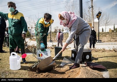 مراسم کاشت درخت صلح و دوستی