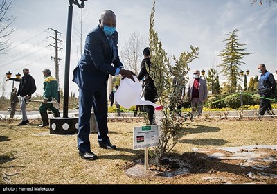 مراسم کاشت درخت صلح و دوستی