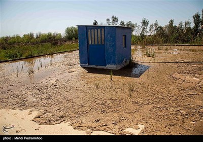 بیماری هپاتیت آ یکی از بیماری‌های ویروسی ست که از طریق مواد غذایی و آب آلوده یا تماس نزدیک با فرد آلوده منتقل می‌شود و دوره ماندگاری آن ۴۵روزه است