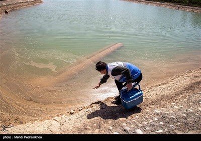 شیوع هپاتیت در روستاهای اسماعیلیه-اهواز