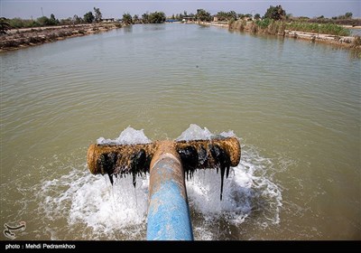 شیوع هپاتیت در روستاهای اسماعیلیه-اهواز