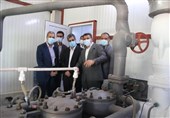 واحدهای راکد صنایع فرآوری استان بوشهر وارد چرخه تولید شد