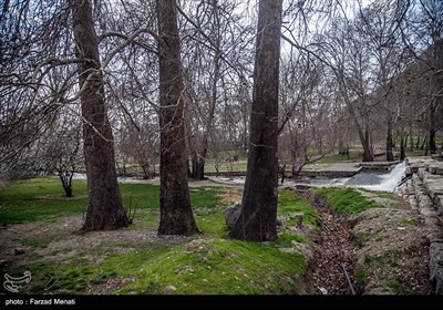 سرزمین مادری / مجموعه تاریخی بیستون