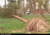 ثبت بیشترین حادثه در روز 5 اسفند به‌دلیل تندباد و بارش شدید باران