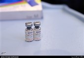 موفقیت فاز حیوانی 3 واکسن جدید کرونا در ایران/ تزریق واکسن &quot;کوو ایران برکت&quot; در 6 شهر کشور