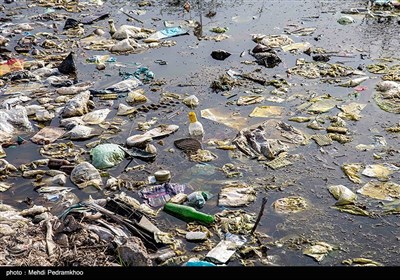 زخم زباله بر تن پارک گمبوعه
