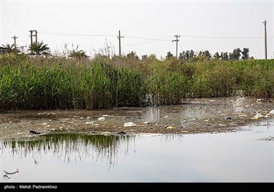 زخم زباله بر تن پارک گمبوعه