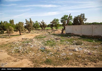 زخم زباله بر تن پارک گمبوعه