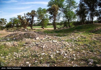 زخم زباله بر تن پارک گمبوعه