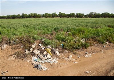 زخم زباله بر تن پارک گمبوعه