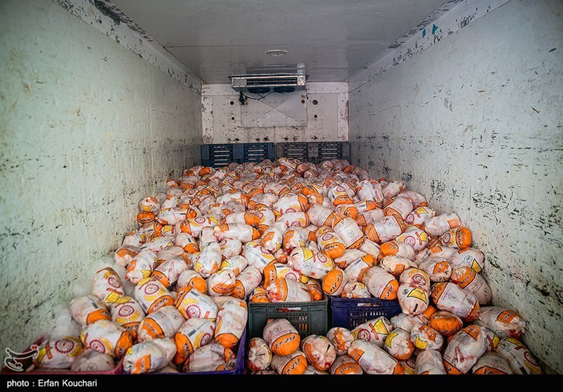 50 تن مرغ منجمد در بازار همدان عرضه می‌شود