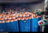 850 تن مرغ در شهرهای سیستان و بلوچستان توزیع می‌شود