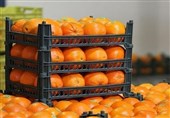 توزیع 100 تن میوه تنظیم بازار در کاشان