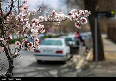 Iran's Beauties in Photos: Spring in Sanandaj