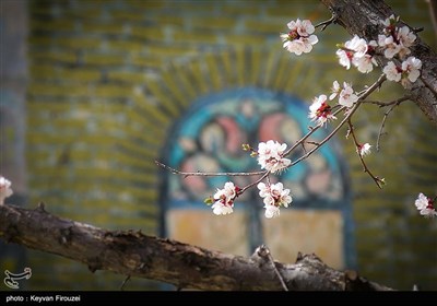 Iran's Beauties in Photos: Spring in Sanandaj