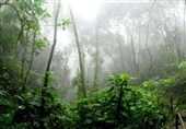 New ‘Map of Life’ Reportedly Shows Where Unknown Species May Be Found