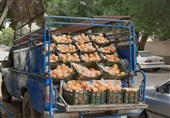200 تن پرتقال و سیب بر اساس قیمت تنظیم بازار در استان بوشهر توزیع شد