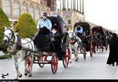 سهم سفر صفر میشود؟