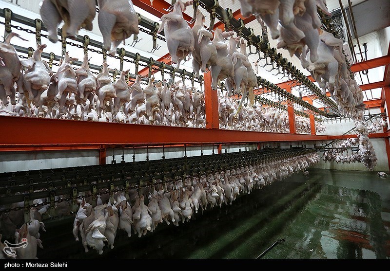 نارسایی‌های بازار مرغ اردبیل در ماه رمضان برطرف می‌شود