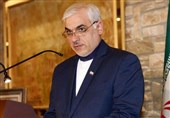 زبیب: ایران بازیگری موثر با نقشی سازنده در غرب آسیا و خلیج فارس است