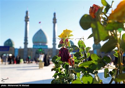 مسجد مقدس جمکران در شب نیمه شعبان