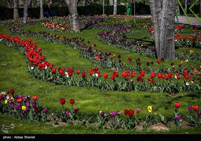 باغ گلها - البرز