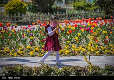 باغ گلها - البرز