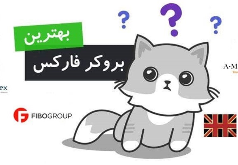 آمارکتس یا فیبوگروپ؟ کدام بروکر در ایران حرف اول را میزند؟ مقایسه بهترین بروکرها