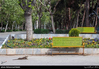 روز طبیعت در تهران