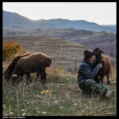 زندگی روستایی