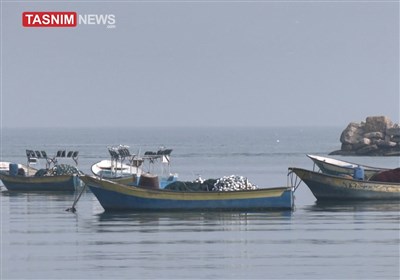 ماهیگیران غزه و شرارت رژیم صهیونیستی؛ تعقیب، حمله، تخریب و مصادره قایق‌ها و تورها/ گزارش اختصاصی