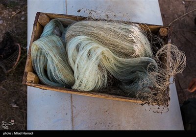 ماهیگیری در حاشیه جاده شادگان - اهواز