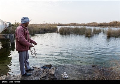 ماهیگیری در حاشیه جاده شادگان - اهواز