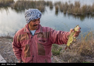 ماهیگیری در حاشیه جاده شادگان - اهواز